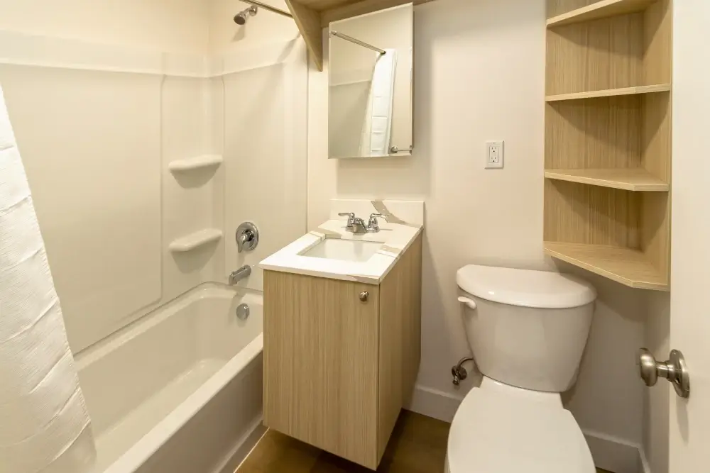 Upgraded bathroom with all new fixtures and shelfing, flooring, and lighting.